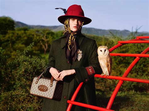 gucci roma animali